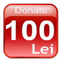 100lei