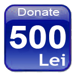 500lei